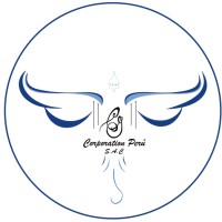 CG Corporation Peru SAC logo - Similar company to Intelem