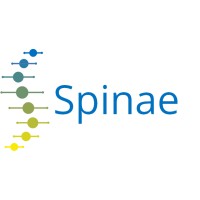 Spinae logo - Similar company to Sectricity | Outsmart Hackers
