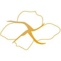 Maxtil logo - Similar company to Maxigrau