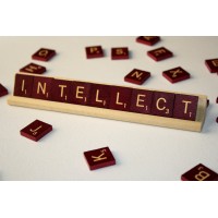 Intellect Technology logo - Similar company to Webview, Inc