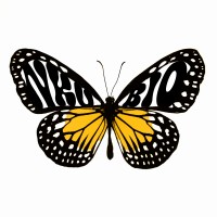 NKU Biological Sciences logo - Similar company to Conquest Dynamics Ai