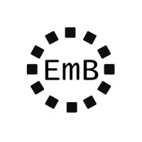 Embright Infotech Pvt Ltd logo - Similar company to Pentechs