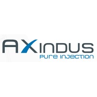 AXINDUS logo - Similar company to Axindus