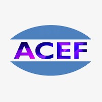 ACEF Global Customer Engagement logo - Similar company to The Customer Experience Lab