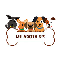 Me Adota SP logo - Similar company to Beik Cookies