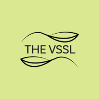 THE VSSL logo - Similar company to Synergy Workstation