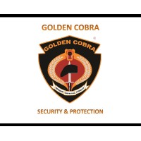 Golden Cobra Security and Protection logo - Similar company to Cobra Security Ni