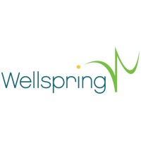 Wellspring Integrated Marketing
