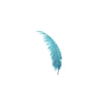 Bluecrystal Financial Group logo - Similar company to Aquilla Financial Solutions