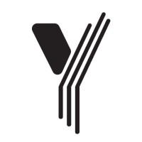 Yalla Holding logo - Similar company to Codsphere