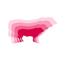 Born & Raised logo - Similar company to Jumpscale