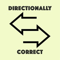 Directionally Correct logo - Similar company to Dmr Latam