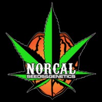 NorCal Seeds & Genetics logo - Similar company to Icfp.School