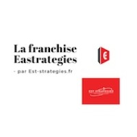 Est Stratégies Franchise logo - Similar company to Icanproveit