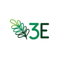 3E (Environment, Entrepreneurship, Energy) logo - Similar company to Green Storage Ltd