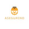 ASEGURIND logo - Similar company to Industrias Rick'S