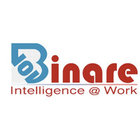 Binare Inc logo - Similar company to Binary It Solutions Pvt Ltd.