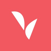 Visual Traffic logo - Similar company to Streamlnr