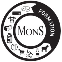 Mons Formation logo - Similar company to Bdm Audit S.R.L.