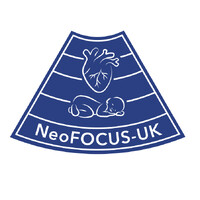 NeoFocus-UK logo - Similar company to Picc Access