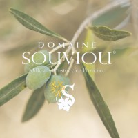 Domaine Souviou logo - Similar company to Studio Flores