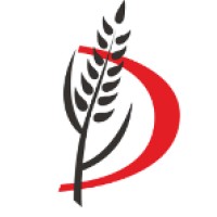 The DML Group logo - Similar company to The Dml Group