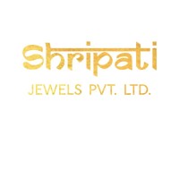 Shripati Jewels Pvt. Ltd. logo - Similar company to Netbiz Studio