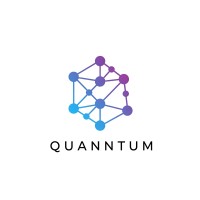Inversiones Quanntum SPA logo - Similar company to Flexipay