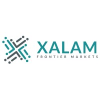 Xalam Analytics logo - Similar company to World Interconnect