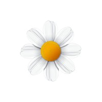 Bemol Retail SRL logo - Similar company to Lux Proba Grup