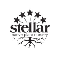 Stellar Native Plant Nursery, LLC logo - Similar company to Plant Access