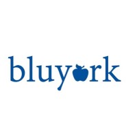 Bluyork Muzic