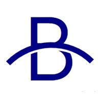 BORANU.mx logo - Similar company to Interconnect Systems Pty Limited