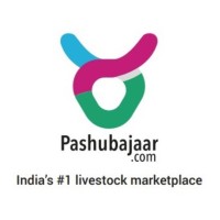 Pashubajaar logo - Similar company to Tgt Global Development Services Pvt. Ltd.