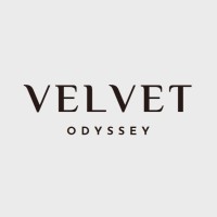 Velvet Odyssey logo - Similar company to Employee4U
