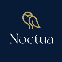 Noctua Strategies logo - Similar company to Anovaeon