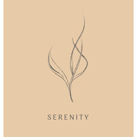 Serenity logo - Similar company to Galaxy Games