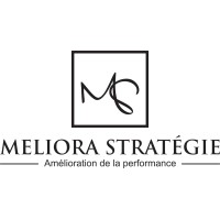 Meliora stratégie logo - Similar company to Officine-Québec