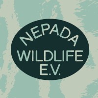 Nepada Wildlife logo - Similar company to Storypark