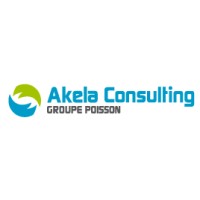 Akela Consulting logo - Similar company to Sup Interim 54