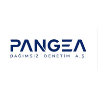 Pangea Bağımsız Denetim A.Ş. logo - Similar company to Pür Bağımsız Denetim Yeminli Mali Müşavirlik A.Ş.