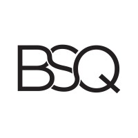 BSQ Capital logo - Similar company to The Cca Group, Llc.