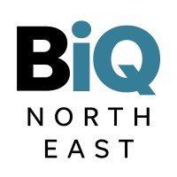 BUSINESSiQ North East logo - Similar company to Orbit - Durham University Innovation Hub
