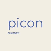 Picon Media logo - Similar company to Nerdie