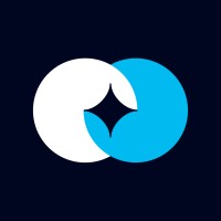 Synapsing logo - Similar company to Tcg Advisory