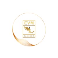 Ejecutivos de Ventas y Mercadotecnia de Jalisco logo - Similar company to Sls Latamok