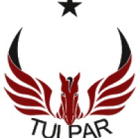 TULPAR UAV