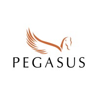 Pegasus: IT Value Acceleration Services logo - Similar company to Hobbydb