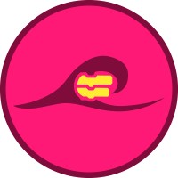 Surfing Scratcher logo - Similar company to Shredder: Indoor Ski & Snowboard School