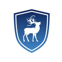 Cyber Chasse Staffing logo - Similar company to Techruit Solution